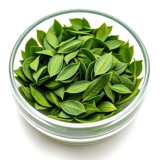 Green Tea Extract